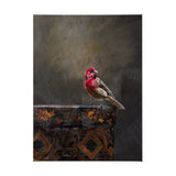 Graceful Poise I (House Finch)(42 x 56) from Mercana - Luna Furniture