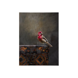 Graceful Poise I (House Finch)(30 x 40) from Mercana - Luna Furniture