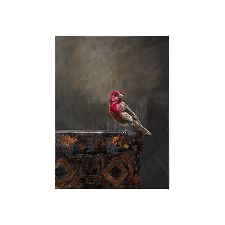 Graceful Poise I (House Finch)(30 x 40) from Mercana - Luna Furniture
