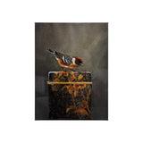 Graceful Poise III (Bay-Breasted Warbler)(30 x 40) from Mercana - Luna Furniture
