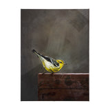 Graceful Poise III (Bay-Breasted Warbler)(42 x 56) from Mercana - Luna Furniture
