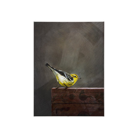 Graceful Poise IV (Blackburnian Warbler)(30 x 40) from Mercana - Luna Furniture