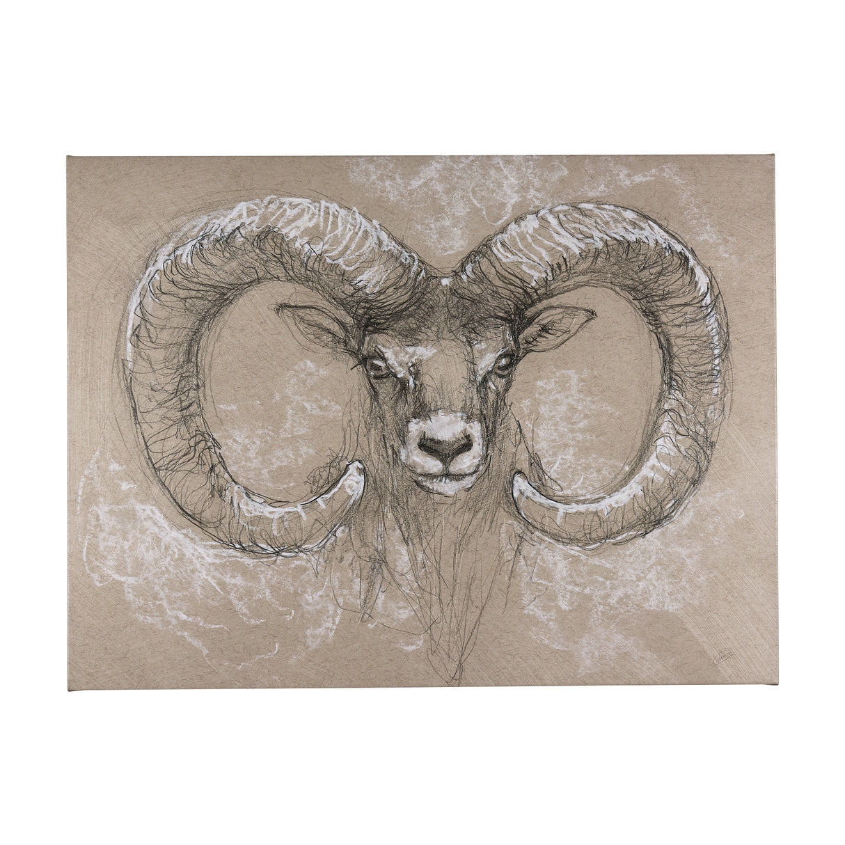 Sketch of animal I (Wild sheep) by Mercana Studio a Hand Embellished Textured Canvas from Mercana - Luna Furniture