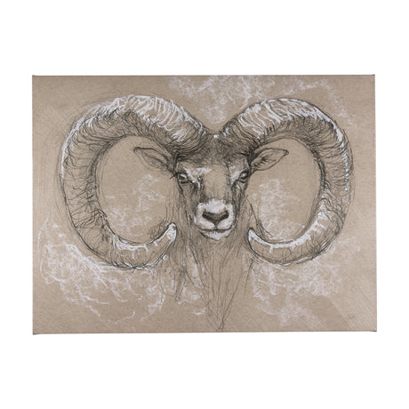 Sketch of animal I (Wild sheep) by Mercana Studio a Hand Embellished Textured Canvas from Mercana - Luna Furniture