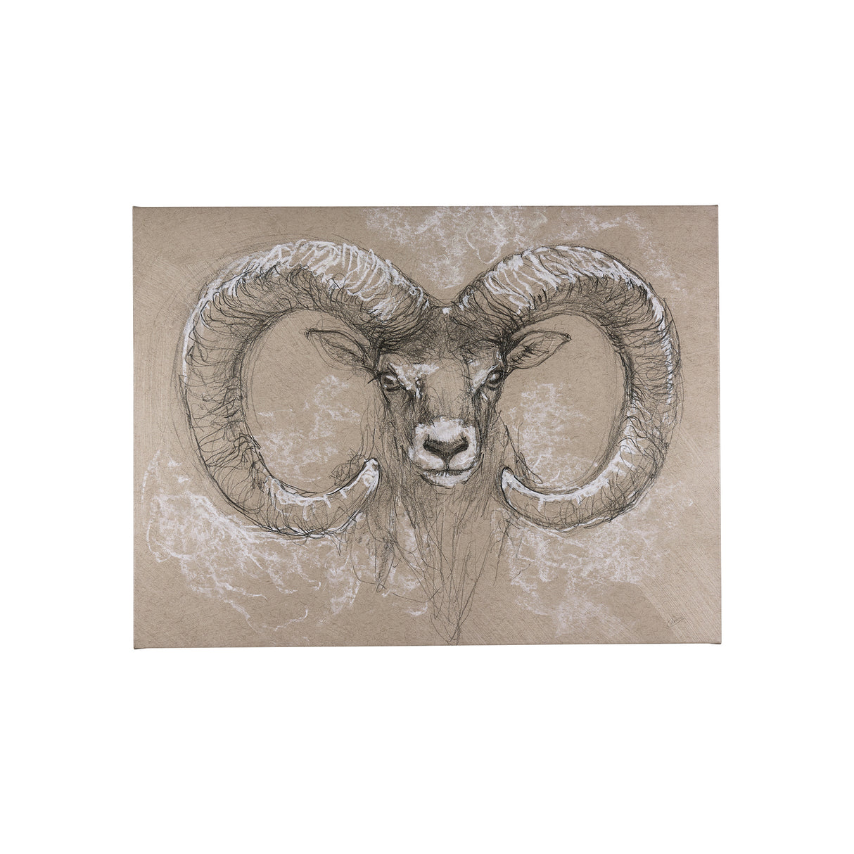 Sketch of animal I (Wild sheep) by Mercana Studio a Hand Embellished Textured Canvas from Mercana - Luna Furniture