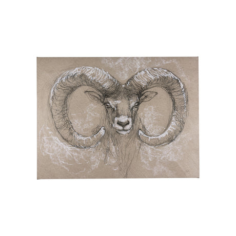 Sketch of animal I (Wild sheep) by Mercana Studio a Hand Embellished Textured Canvas from Mercana - Luna Furniture