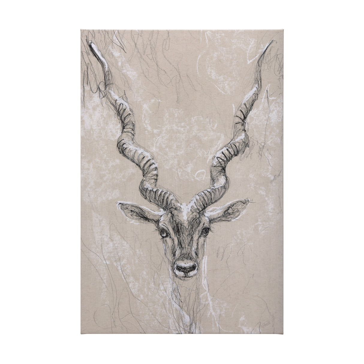 Sketch of animal III (Antelope) by Mercana Studio a Hand Embellished Textured Canvas from Mercana - Luna Furniture