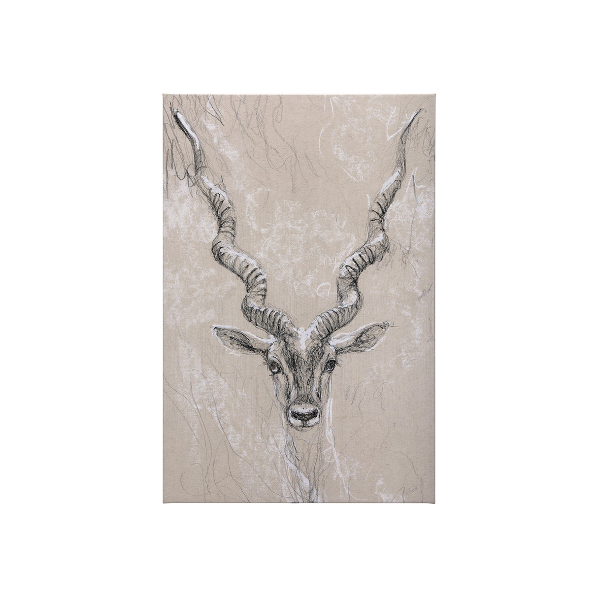 Sketch of animal III (Antelope) by Mercana Studio a Hand Embellished Textured Canvas from Mercana - Luna Furniture