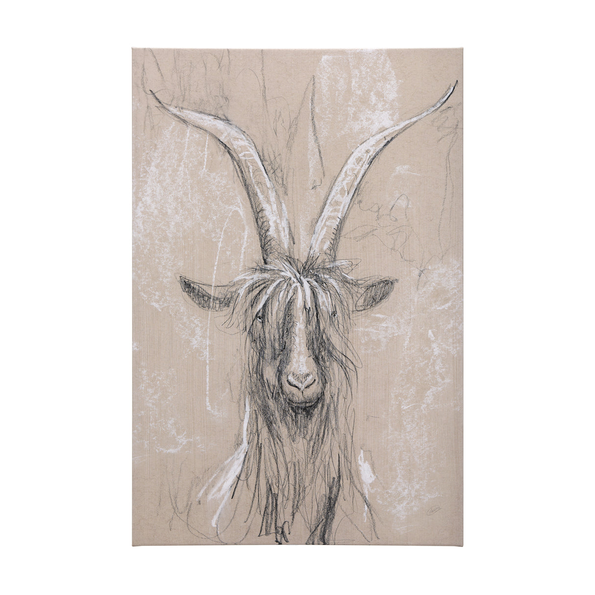 Sketch of animal V (Goat) by Mercana Studio a Hand Embellished Textured Canvas from Mercana - Luna Furniture