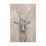 Sketch of animal V (Goat) by Mercana Studio a Hand Embellished Textured Canvas from Mercana - Luna Furniture