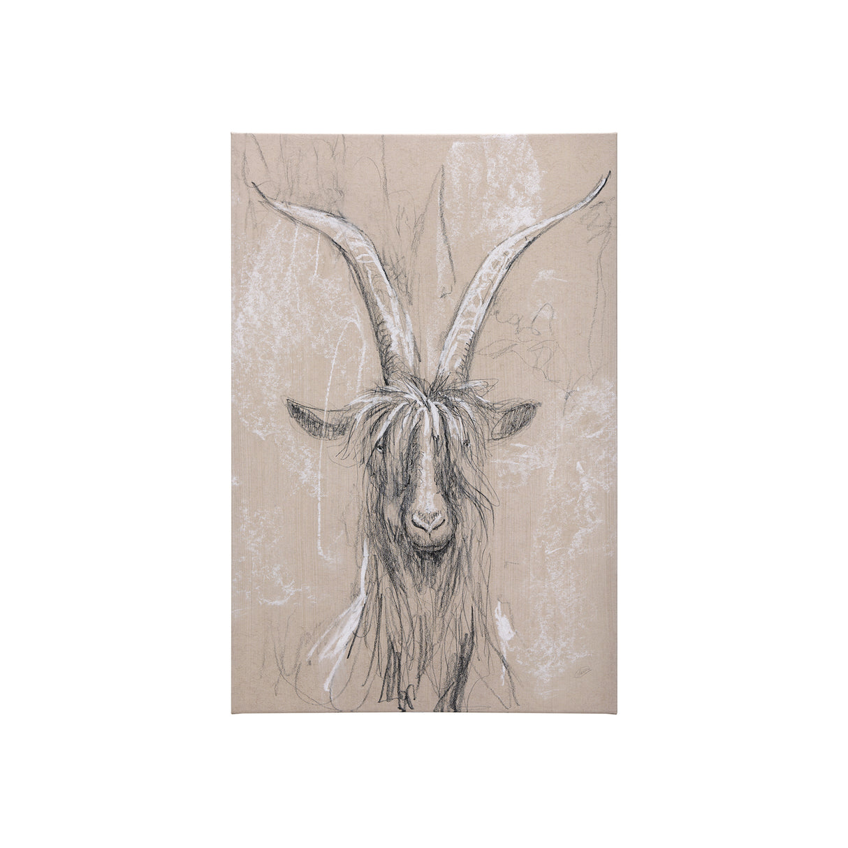 Sketch of animal V (Goat) by Mercana Studio a Hand Embellished Textured Canvas from Mercana - Luna Furniture