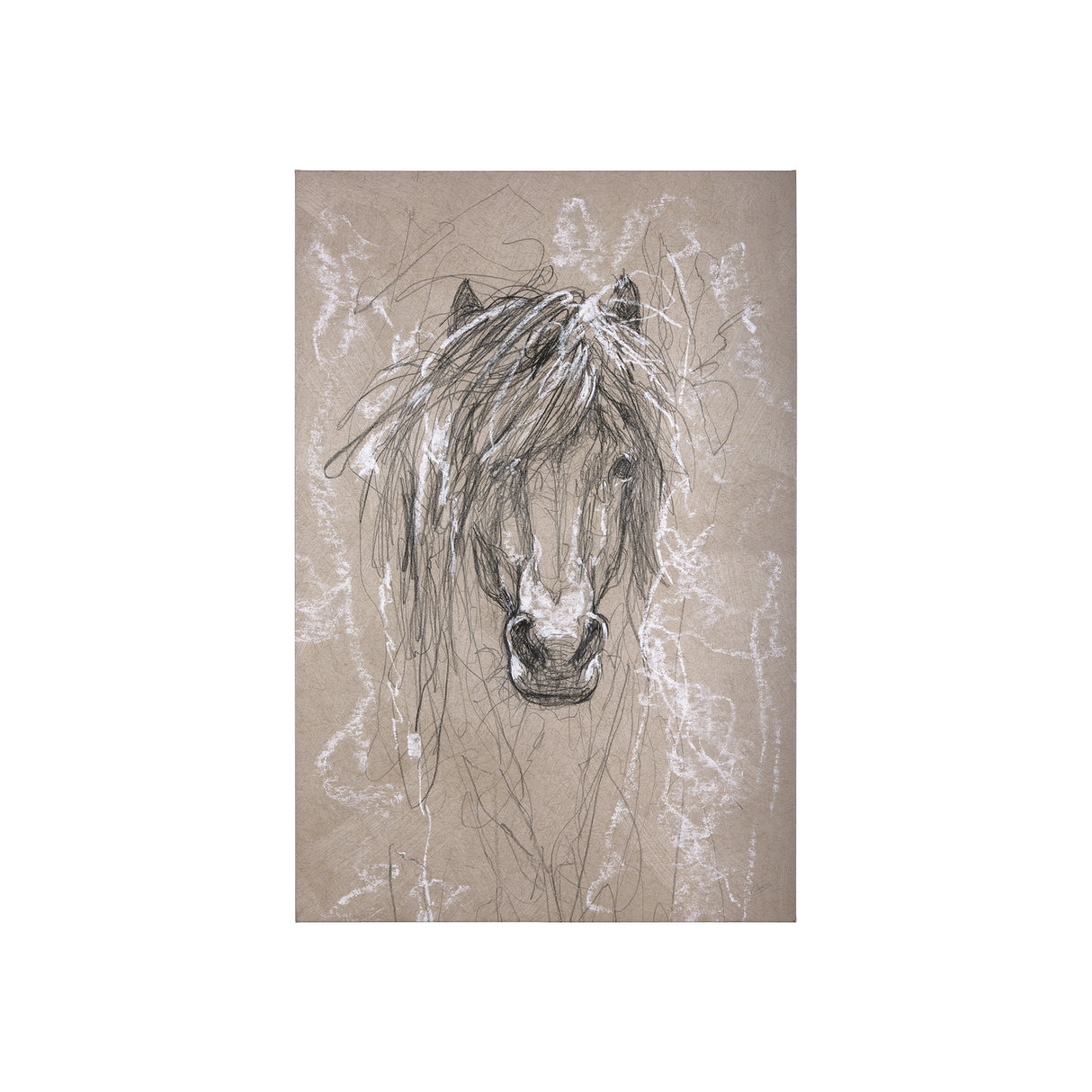 Sketch of animal VI (Pony) by Mercana Studio a Hand Embellished Textured Canvas from Mercana - Luna Furniture