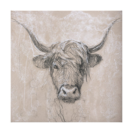 Sketch of animal VIII (Highland bull) by Mercana Studio a Hand Embellished Textured Canvas from Mercana - Luna Furniture