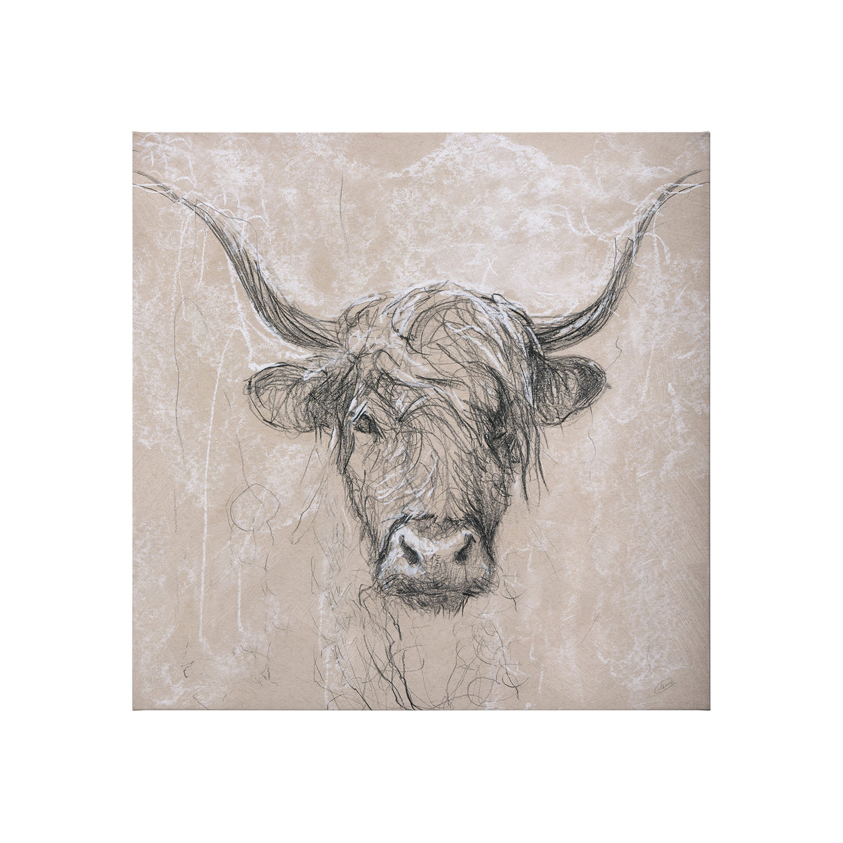 Sketch of animal VIII (Highland bull) by Mercana Studio a Hand Embellished Textured Canvas from Mercana - Luna Furniture