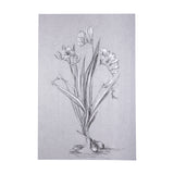 Botanical sketches III (Grey) by Mercana Studio a Hand Embellished Textured Canvas from Mercana - Luna Furniture