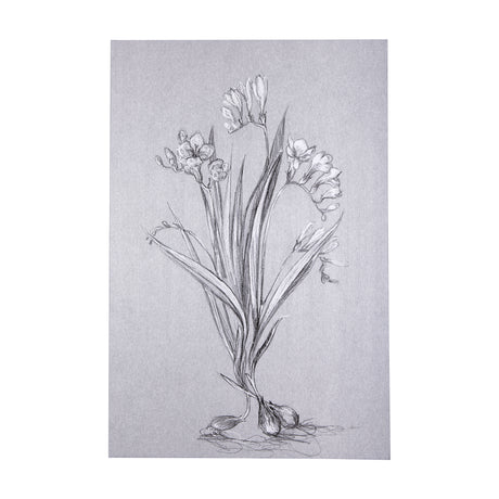 Botanical sketches III (Grey) by Mercana Studio a Hand Embellished Textured Canvas from Mercana - Luna Furniture
