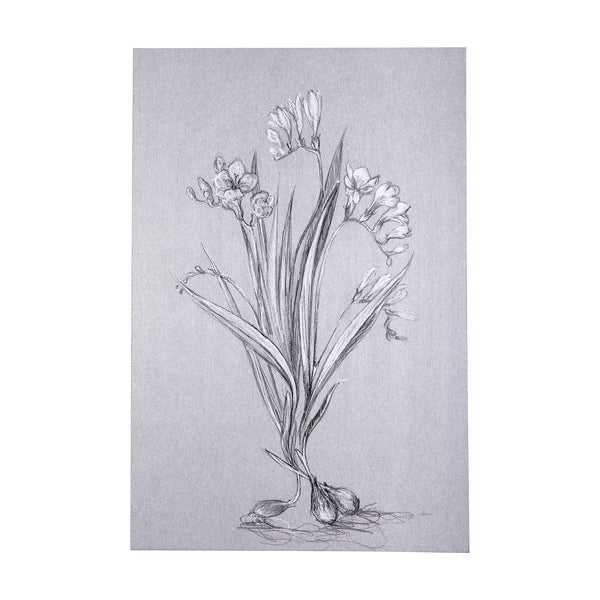 Botanical sketches III (Grey) by Mercana Studio a Hand Embellished Textured Canvas