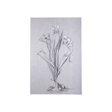 Botanical sketches III (Grey) by Mercana Studio a Hand Embellished Textured Canvas from Mercana - Luna Furniture