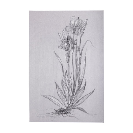 Botanical sketches IV (Grey) by Mercana Studio a Hand Embellished Textured Canvas from Mercana - Luna Furniture