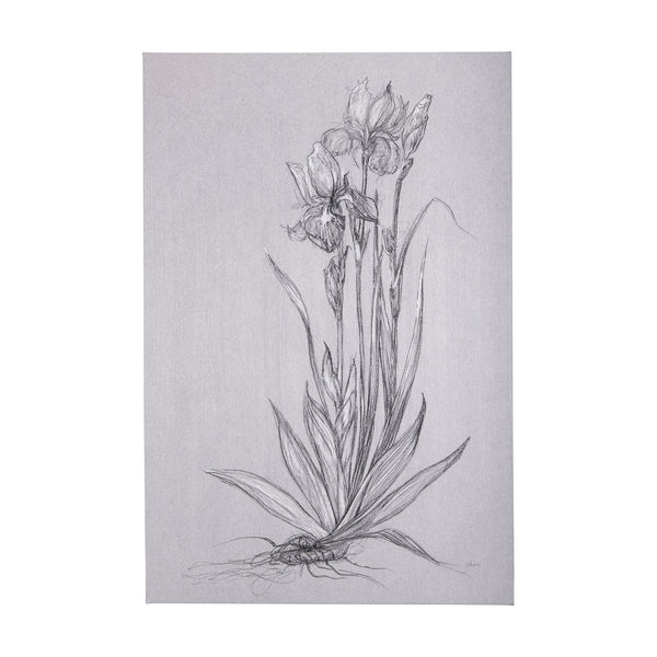 Botanical sketches IV (Grey) by Mercana Studio a Hand Embellished Textured Canvas