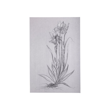 Botanical sketches IV (Grey) by Mercana Studio a Hand Embellished Textured Canvas from Mercana - Luna Furniture