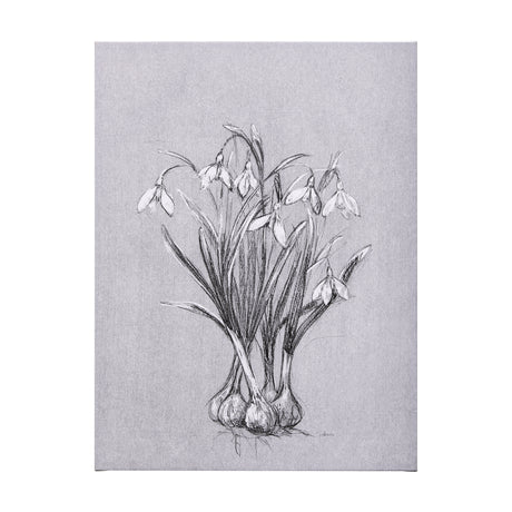 Botanical sketches VI (Grey) by Mercana Studio a Hand Embellished Textured Canvas from Mercana - Luna Furniture