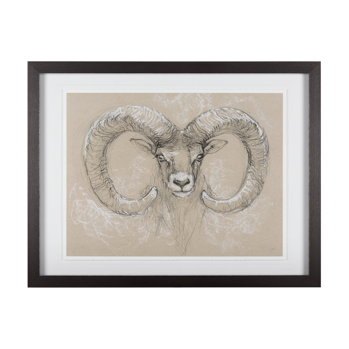 Sketch of animal I (Wild sheep) Mercana Studio Hand Embellished Framed Art Print Matted under Glass from Mercana - Luna Furniture