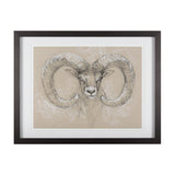Sketch of animal I (Wild sheep) Mercana Studio Hand Embellished Framed Art Print Matted under Glass from Mercana - Luna Furniture