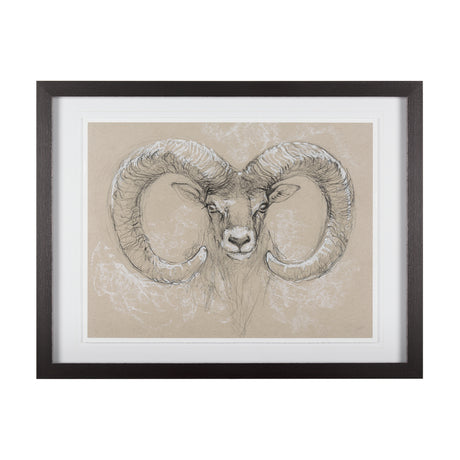 Sketch of animal I (Wild sheep) Mercana Studio Hand Embellished Framed Art Print Matted under Glass from Mercana - Luna Furniture