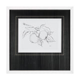 Fruit Sketch Apple by Mercana Studio a Hand Embellished Textured Framed Art Print Matted under Glass from Mercana - Luna Furniture