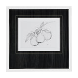Fruit Sketch Pear by Mercana Studio a Hand Embellished Textured Framed Art Print Matted under Glass from Mercana - Luna Furniture