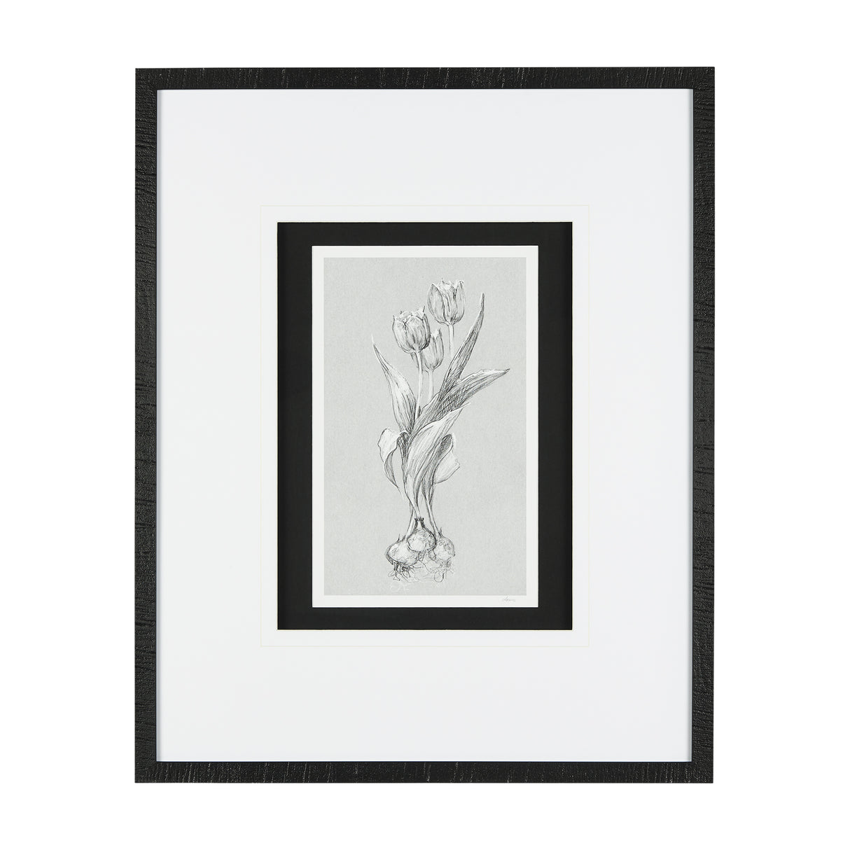 Botanical sketches I (Grey) by Mercana Studio Hand Embellished Framed Art Print Matted under Glass from Mercana - Luna Furniture