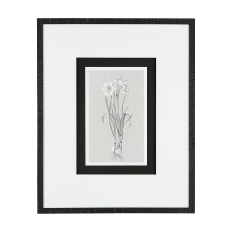 Botanical sketches II (Grey) by Mercana Studio Hand Embellished Framed Art Print Matted under Glass from Mercana - Luna Furniture