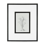 Botanical sketches III (Grey) by Mercana Studio Hand Embellished Framed Art Print Matted under Glass from Mercana - Luna Furniture