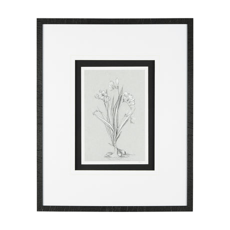 Botanical sketches III (Grey) by Mercana Studio Hand Embellished Framed Art Print Matted under Glass from Mercana - Luna Furniture