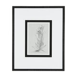 Botanical sketches IV (Grey) by Mercana Studio Hand Embellished Framed Art Print Matted under Glass from Mercana - Luna Furniture