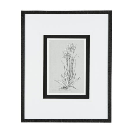 Botanical sketches IV (Grey) by Mercana Studio Hand Embellished Framed Art Print Matted under Glass from Mercana - Luna Furniture