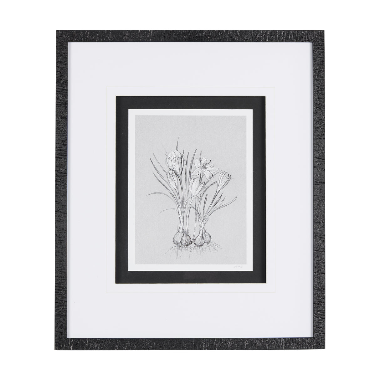 Botanical sketches V (Grey) by Mercana Studio Hand Embellished Framed Art Print Matted under Glass from Mercana - Luna Furniture