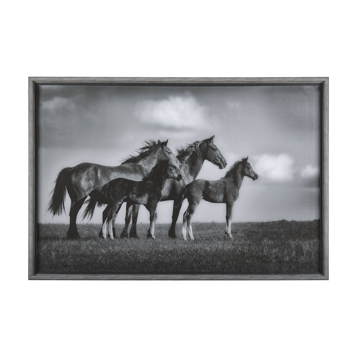 Focused by Mercana Studio a Hand Embellished Textured Framed Photo Art Print Matted under Glass from Mercana - Luna Furniture
