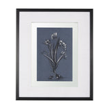 Botanical sketches III (Blue) by Mercana Studio Hand Embellished Framed Art Print Matted under Glass from Mercana - Luna Furniture