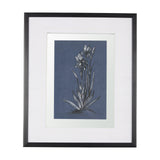 Botanical sketches IV (Blue) by Mercana Studio Hand Embellished Framed Art Print Matted under Glass from Mercana - Luna Furniture