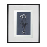 Botanical sketches II (Blue) by Mercana Studio Hand Embellished Framed Art Print Matted under Glass from Mercana - Luna Furniture