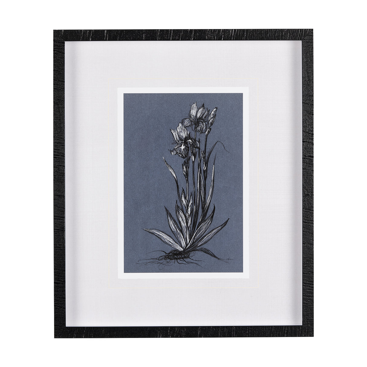 Botanical sketches IV (Blue) by Mercana Studio Hand Embellished Framed Art Print Matted under Glass from Mercana - Luna Furniture