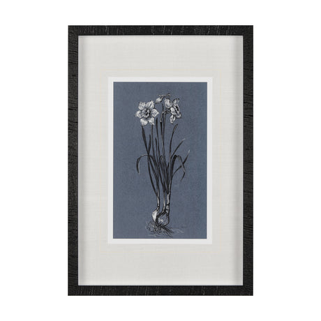 Botanical sketches I (Blue) by Mercana Studio Hand Embellished Framed Art Print Matted under Glass from Mercana - Luna Furniture