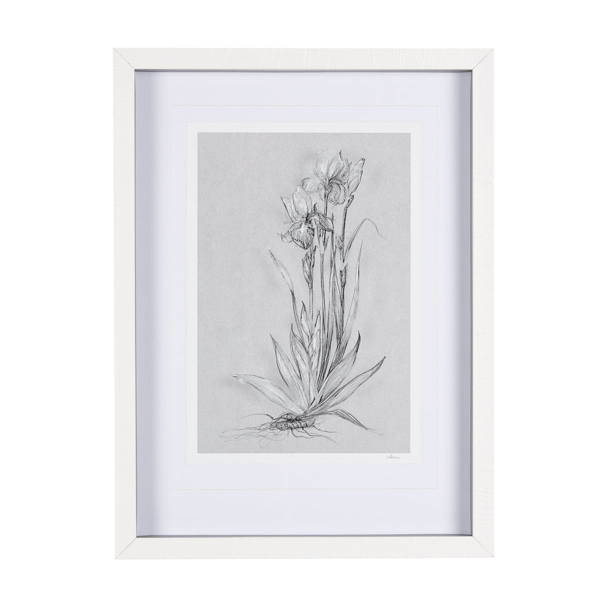 Botanical sketches IV (Grey) by Mercana Studio Hand Embellished Framed Art Print Matted under Glass from Mercana - Luna Furniture