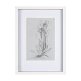 Botanical sketches IV (Grey) by Mercana Studio Hand Embellished Framed Art Print Matted under Glass from Mercana - Luna Furniture