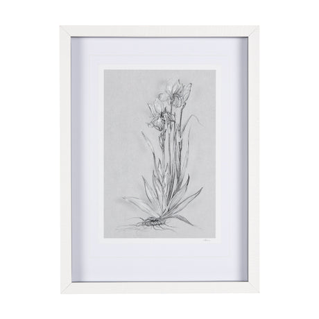 Botanical sketches IV (Grey) by Mercana Studio Hand Embellished Framed Art Print Matted under Glass from Mercana - Luna Furniture