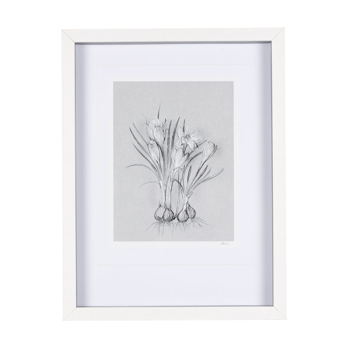 Botanical sketches V (Grey) by Mercana Studio Hand Embellished Framed Art Print Matted under Glass from Mercana - Luna Furniture
