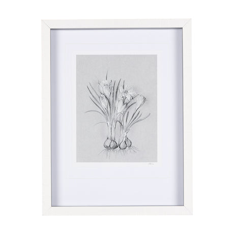 Botanical sketches V (Grey) by Mercana Studio Hand Embellished Framed Art Print Matted under Glass from Mercana - Luna Furniture