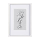 Botanical sketches I (Grey) by Mercana Studio Hand Embellished Framed Art Print Matted under Glass from Mercana - Luna Furniture